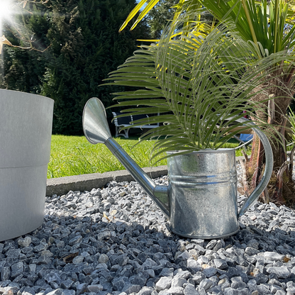 Zink Gießkanne 4l mit Brause - kleine Gießkanne für Garten und Zimmerpflanzen