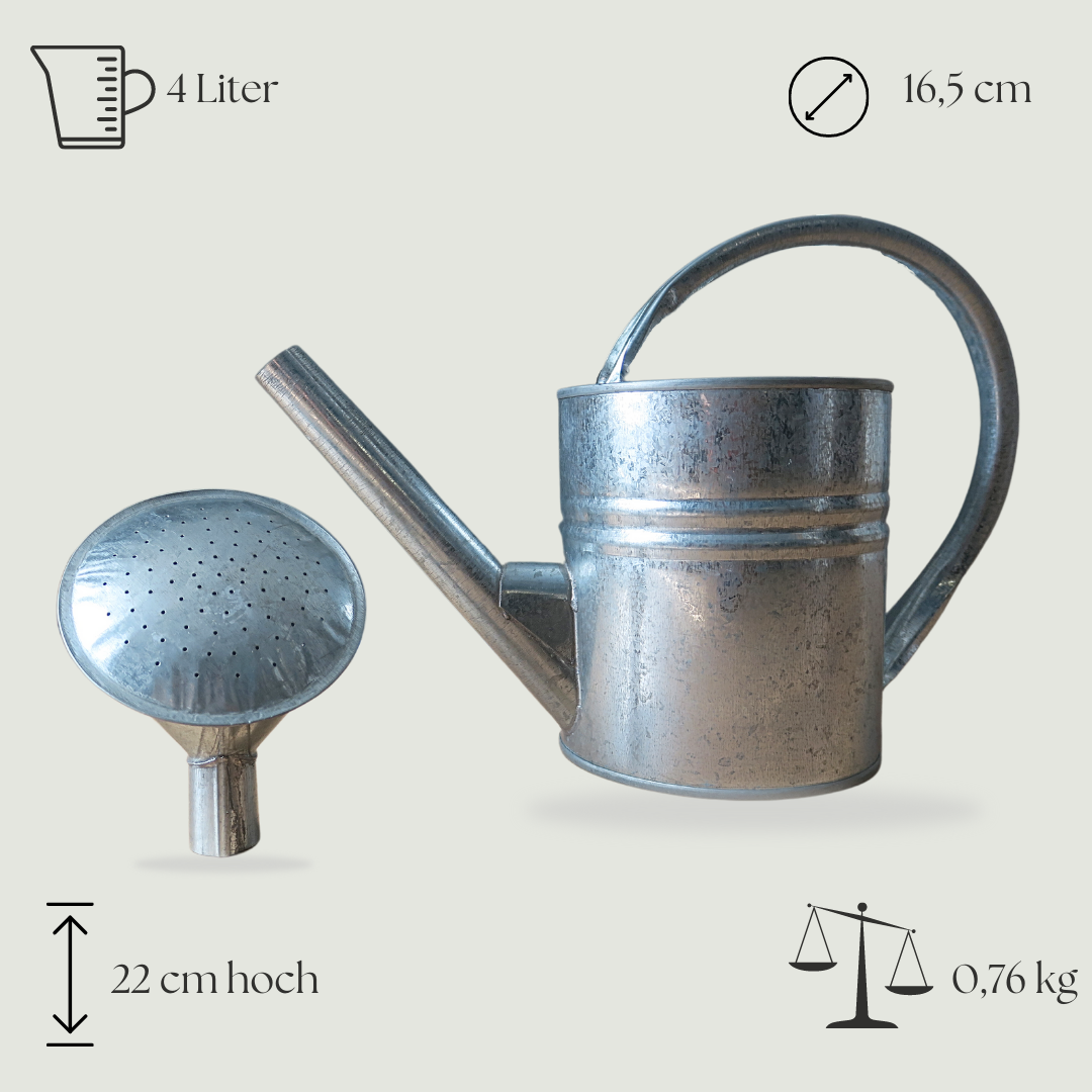 Milchkanne als Zinkgefäß - Zinkbehälter zum Bepflanzen - geeignet für Innen & Außen